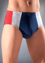 Mehrfachpack Slips mit seitlichen Eins&auml;tzen 