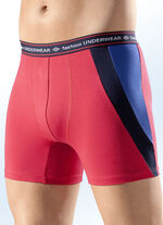 Viererpack Pants, uni mit Kontrasteinsätzen