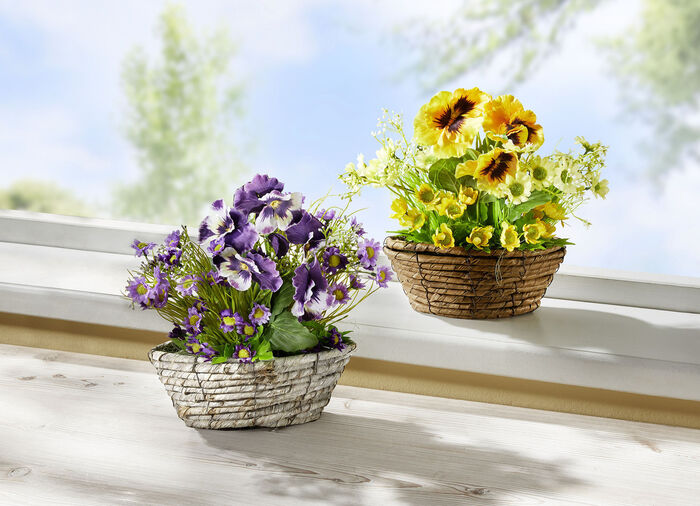 Stiefmütterchen und Margeriten in Weidekorb GELB