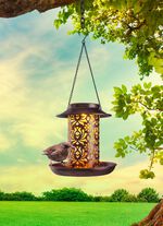 Solar-Leuchte/Futterstelle 