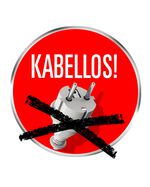 Akku-Handw&auml;rmer 