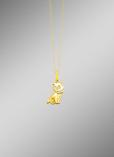 Anh&auml;nger mit Katze 