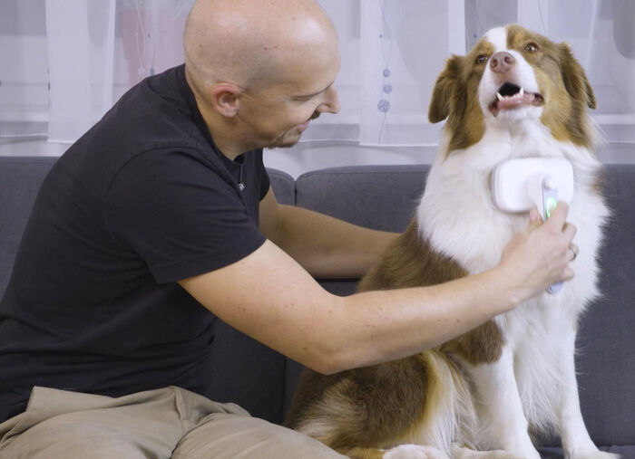 "PiddiPet IonBrush" Tierhaarbürste  