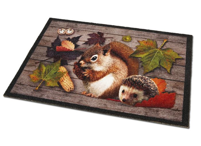 Fu&szlig;matte mit rutschhemmender R&uuml;ckseite 