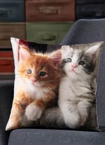 Kissenbezug mit K&auml;tzchen-Motiv in Samtoptik BUNT